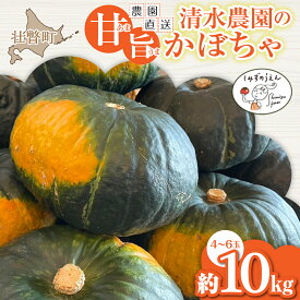 【ふるさと納税】【先行予約 令和8年9月初旬発送】北海道産 かぼちゃ 約10kg 甘旨 甘くて濃厚 ホクホク しっとり 完熟収穫 4～6玉 カボチャ 南瓜 清水農園 北海道壮瞥町 産地直送
