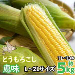 yӂ邳Ɣ[Łz2026N8{肨͂5kgIkCsˎYƂ낱ibjyL`2LTCY 11`13{zy ӂ邳Ɣ[ lC  LO gERV Ƃ낱 b 