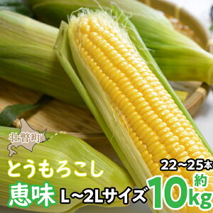 yӂ邳Ɣ[Łz2026N8{肨͂10kgIkCsˎYƂ낱ibjyL`2LTCY 22`25{zӂ邳Ɣ[ lC  LO gERV Ƃ낱 b 
