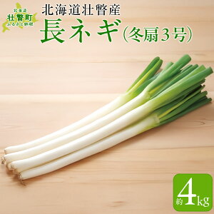 yӂ邳Ɣ[Łz2025N1220肨͂lMi~3j4kg y ӂ邳Ɣ[ lC  LO lM K ˂ Yn { kC s˒  zSBTP012