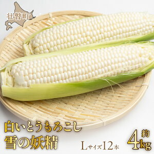 yӂ邳Ɣ[Łz2026N8{肨͂ŷzkCsˎY Ƃ낱u̗dvLTCY12{(4kg) ӂ邳Ɣ[ lC  LO zCgR[ ̗d 
