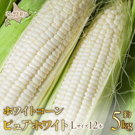 【ふるさと納税】＜2026年8月中旬よりお届け＞【朝採り】北海道壮瞥町 ホワイトコーン「ピュアホワイト」Lサイズ以上12本(約5kg) ふるさと納税 人気 おすすめ ランキング ピュアホワイト 白い 白 トウモロコシ とうもろこし 野菜 甘い 北海道 壮瞥町 送料無料 SBTQ003