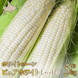 yӂ邳Ɣ[Łz2026N8{肨͂ŷzkCs˒ zCgR[usAzCgvLTCYȏ12{(5kg) ӂ邳Ɣ[ lC  LO sAzCg 