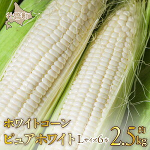 yӂ邳Ɣ[Łz2026N8{肨͂ŷzkCs˒Y@zCgR[usAzCgvLTCYȏ6{i2.5kgjӂ邳Ɣ[ lC  LO sAzC