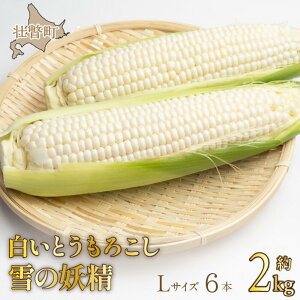 yӂ邳Ɣ[Łz2026N8{肨͂ŷzkCsˎY Ƃ낱u̗dvLTCY6{(2kg) y ӂ邳Ɣ[ lC  LO zCgR[ ̗d 