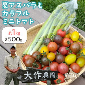 yӂ邳Ɣ[Łz2026N7{肨͂kCs˒Y@_uăAXpƃJt~jg}gṽZbg1kg s\ ӂ邳Ɣ[ lC  LO AXp 