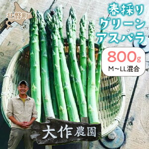 【ふるさと納税】<2026年4月上旬よりお届け>【朝採り】北海道壮瞥町産 春採りグリーンアスパラM〜LL混合 約800g ふるさと納税 人気 おすすめ ランキング グリーンアスパラ アスパラ あす