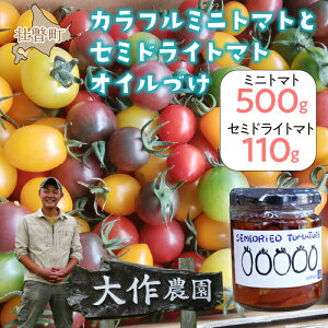 yӂ邳Ɣ[ŁzkCsˎY _́uJt~jg}gv500gi5ȏjƃZ~hCg}gICЂ1ri110gj̃Zbg ӂ邳Ɣ[ lC  LO g}g ~j