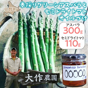 2026N4{肨͂yӂ邳Ɣ[ŁzkCsˎY _́ut̂O[AXpM`LLv300gƃZ~hCg}gICЂ1ri110gj̃Zbg ӂ邳Ɣ[ O[