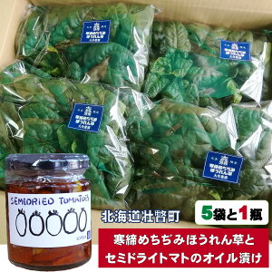 yӂ邳Ɣ[Łz q2025N12{肨͂rkCsˎY _́u߂݂ق񑐁v5܂ƁuZ~hCg}gICЂv1ri110gj̃Zbg@y  ~jg}g ؉