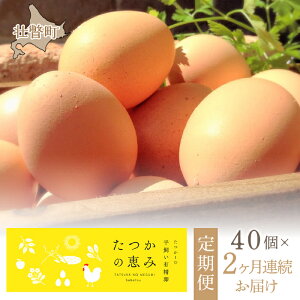 yӂ邳Ɣ[ŁzLw̌b݁x40×2A͂ y ӂ邳Ɣ[ lC  LO  ܂ ^}S ܂ ڋʏĂ ł܂ Ă  kC