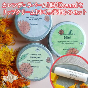 yӂ邳Ɣ[ŁzJfo[1iDreamjƃbvN[1{̃Zbg ӂ邳Ɣ[ lC  LO ei ϕi o[ bvN[ J~[ n[u ێ Ԃ