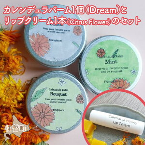 yӂ邳Ɣ[ŁzJfo[1iDreamjƃbvN[1{̃Zbg ӂ邳Ɣ[ lC  LO ei ϕi o[ bvN[ J~[ n[u ێ Ԃ