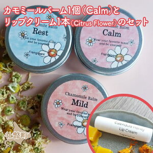 yӂ邳Ɣ[ŁzJ~[o[ iCalmjƃn[ubv1{̃Zbg ӂ邳Ɣ[ lC  LO ei ϕi o[ bvN[ J~[ n[u ێ Ԃ q