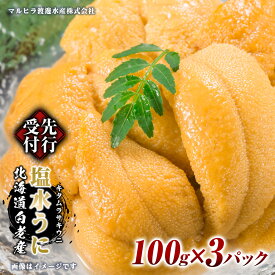 【ふるさと納税】2026年 発送予約 ウニ本来の味が楽しめる【白老産】塩水ムラサキウニ 100g×3パック BT009白老町 ふるさと納税 北海道ふるさと納税 ウニ 北海道 ウニ うに 雲丹 むらさきうに 塩水 塩水ウニ