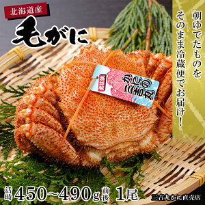 yӂ邳Ɣ[ŁzʌyŁzkCY{CуKji450-490gOj1 AS145т уKj ъI I Jj `h ① kCӂ邳Ɣ[ V ӂ邳Ɣ[ kC