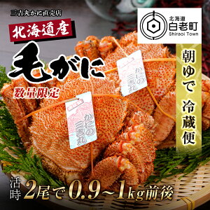 yӂ邳Ɣ[ŁzʌyŁzkCY{CуKj2Ŋ0.9-1kg AS146т уKj ъI I Jj `h ① kCӂ邳Ɣ[ V ӂ邳Ɣ[ kC