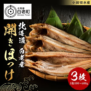 yӂ邳Ɣ[ŁzJق1×3Zbgق zbP @ J   kC kCӂ邳Ɣ[ V ӂ邳Ɣ[ kC