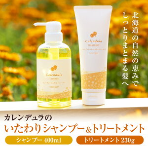 yӂ邳Ɣ[ŁzJf̂Vv[g[gg (Vv[ 400ml g[gg 230g) {^jJ ێ mVR i`ACh CH804kCӂ邳Ɣ[ 