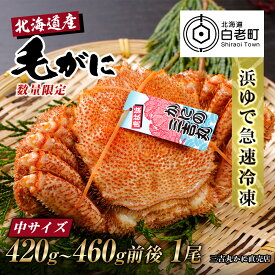 【ふるさと納税】【中サイズ】北海道産 冷凍ボイル毛ガニ (420g-460g前後)1尾毛がに 毛ガニ 毛蟹 蟹 カニ 北海道ふるさと納税 白老 ふるさと納税 北海道 おせち