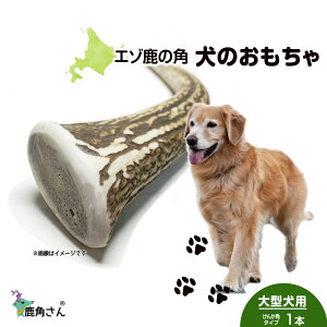 yӂ邳Ɣ[Łz̊p G]VJ ̂ wpx ^p@񂩊p^Cv@1{ CB038 ybg  p G]VJ hbOK kC kCӂ邳Ɣ[ V ӂ邳