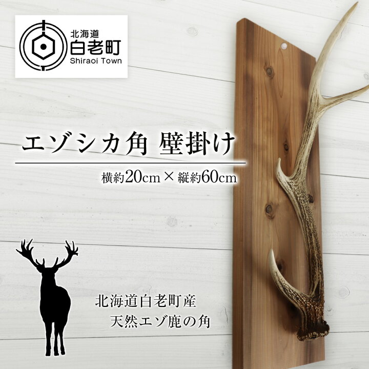 楽天市場】【ふるさと納税】エゾシカ角 壁掛け（横約20cm×縦約60cm 