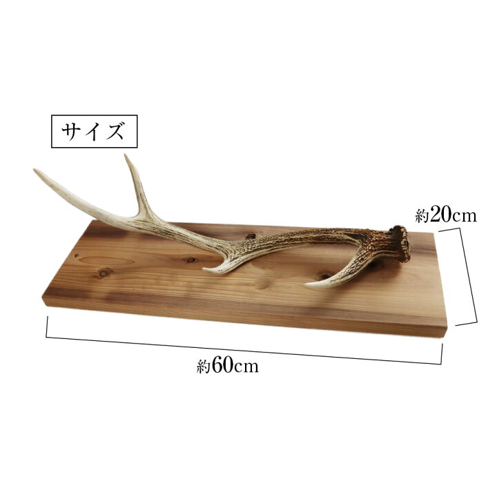 楽天市場】【ふるさと納税】エゾシカ角 壁掛け（横約20cm×縦約60cm 