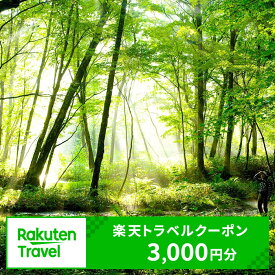 【ふるさと納税】北海道白老町の対象施設で使える楽天トラベルクーポン 寄付額10,000円