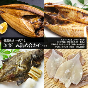 yӂ邳Ɣ[Łzቷn 銱 y lߍ킹n  銱  I ق zbP @ ꂢ JC   CJ G Hi  kC kCӂ邳Ɣ[ V 