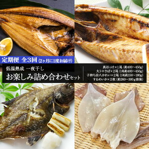 yӂ邳Ɣ[Łz21x  S3 ቷn 銱 y lߍ킹n  銱  I ق zbP @ ꂢ JC   CJ G Hi  kC k
