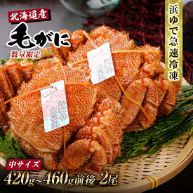 【ふるさと納税】【中サイズ】北海道産 冷凍ボイル毛ガニ (420g-460g前後)2尾毛がに 毛ガニ 毛蟹 蟹 カニ 北海道ふるさと納税 白老 ふるさと納税 北海道 おせち