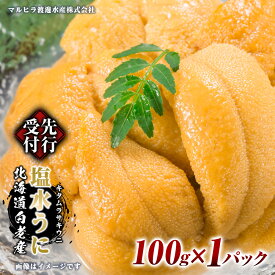 【ふるさと納税】2026年 発送先行受付 ウニ本来の味が楽しめる【白老産】塩水ムラサキウニ 100g×1パック BT007白老町 ふるさと納税 北海道ふるさと納税 ウニ 北海道 ウニ うに 雲丹 むらさきうに 塩水 塩水ウニ