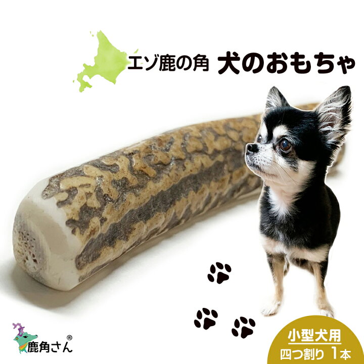 楽天市場】【ふるさと納税】鹿の角 エゾシカ 犬のおもちゃ 『鹿角さん 