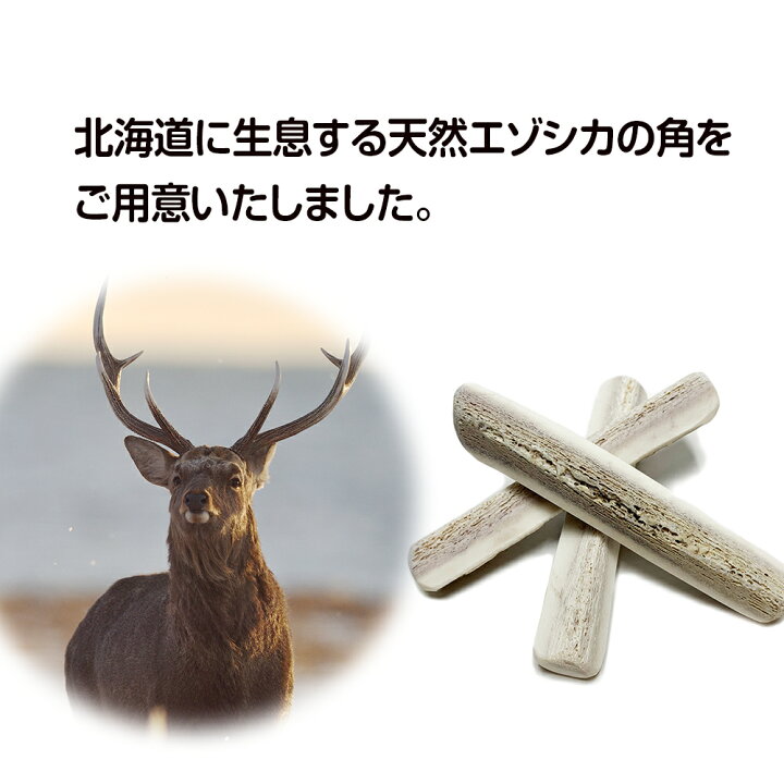 楽天市場】【ふるさと納税】鹿の角 エゾシカ 犬のおもちゃ 『鹿角さん 