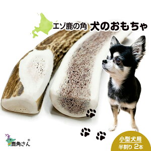 yӂ邳Ɣ[Łz̊p G]VJ ̂ wpx ^p@@2{Zbg ybg  p G]VJ hbOK kC kCӂ邳Ɣ[ V ӂ邳Ɣ[ k