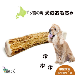 yӂ邳Ɣ[Łz̊p G]VJ ̂ wpx ^p@l@1{ ybg  p G]VJ hbOK kC kCӂ邳Ɣ[ V ӂ邳Ɣ[ kC