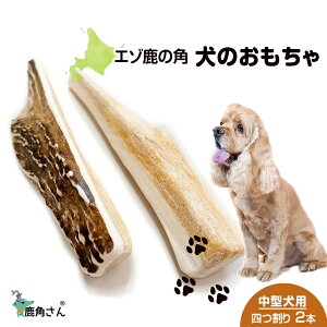 yӂ邳Ɣ[Łz̊p G]VJ ̂ wpx ^p@l@2{Zbg ybg  p G]VJ hbOK kC kCӂ邳Ɣ[ V ӂ邳Ɣ[ 