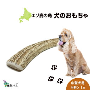 yӂ邳Ɣ[Łz̊p G]VJ ̂ wpx ^p@@1{ ybg  p G]VJ hbOK kC kCӂ邳Ɣ[ V ӂ邳Ɣ[ kC