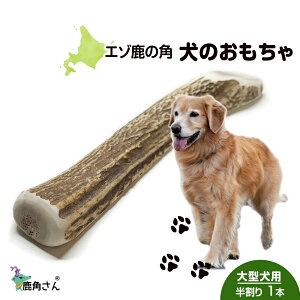 yӂ邳Ɣ[Łz̊p G]VJ ̂ wpx ^p@@1{ ybg  p G]VJ hbOK kC kCӂ邳Ɣ[ V ӂ邳Ɣ[ kC