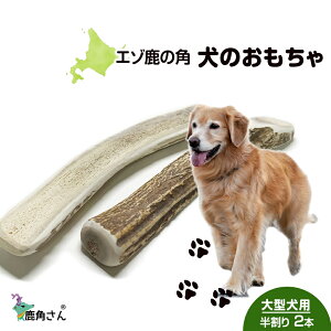 yӂ邳Ɣ[Łz̊p G]VJ ̂ wpx ^p@@2{Zbg ybg  p G]VJ hbOK kC kCӂ邳Ɣ[ V ӂ邳Ɣ[ k