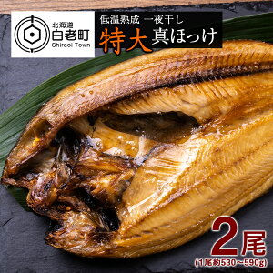 yӂ邳Ɣ[Łzቷn 銱  ^ق 2 kCY AA024ق zbP @ ^ق  銱 kCӂ邳Ɣ[ V ӂ邳Ɣ[ kC