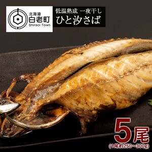 yӂ邳Ɣ[Łzቷn 銱 ЂƎ 5 ՏlH AA025 To I   銱 kCӂ邳Ɣ[ V ӂ邳Ɣ[ kC