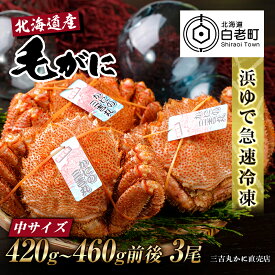 【ふるさと納税】【中サイズ】北海道産 冷凍ボイル毛ガニ (420g-460g前後)3尾毛がに 毛ガニ 毛蟹 蟹 カニ 北海道ふるさと納税 白老 ふるさと納税 北海道 おせち