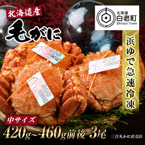 yӂ邳Ɣ[ŁzyTCYzkCY Ⓚ{CуKj (420g-460gO)3т уKj ъI I Jj kCӂ邳Ɣ[ V ӂ邳Ɣ[ kC 