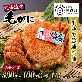 【ふるさと納税】【小サイズ】北海道産 冷凍ボイル毛ガニ (390g-400g前後) 1尾毛がに 毛ガニ 毛蟹 蟹 カニ 北海道ふるさと納税 白老 ふるさと納税 北海道 おせち