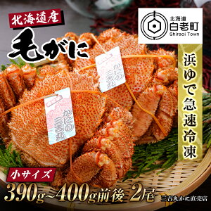 yӂ邳Ɣ[ŁzyTCYzkCY Ⓚ{CуKj (390g-400gO) 2т уKj ъI I Jj kCӂ邳Ɣ[ V ӂ邳Ɣ[ kC 