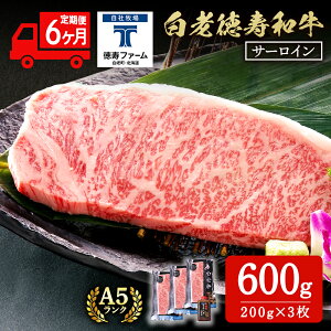 yӂ邳Ɣ[Łzy6Jz V T[C Xe[L 200g×3 \[Xt a  Mtg kC  BJ068kCӂ邳Ɣ[ V ӂ邳Ɣ[ kC