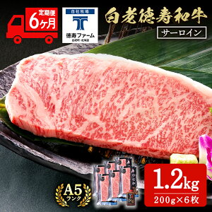 yӂ邳Ɣ[Łzy6Jz V T[C Xe[L 200g×6 i1.2kgj \[Xt a  Mtg kC  BJ071kCӂ邳Ɣ[ V ӂ邳Ɣ[ kC