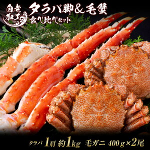 yӂ邳Ɣ[Łz^or  ъI Hה Zbg^oKj ъI Hה Zbg  Jj I kCӂ邳Ɣ[ V ӂ邳Ɣ[ kC  N BM320