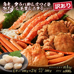 yӂ邳Ɣ[Łz󂠂 ^or  YCp  ъI  z^e Hה Zbg^oKj YCKj ъI z^e Hה Zbg  Jj I kCӂ邳Ɣ[ V ӂ邳Ɣ[ 
